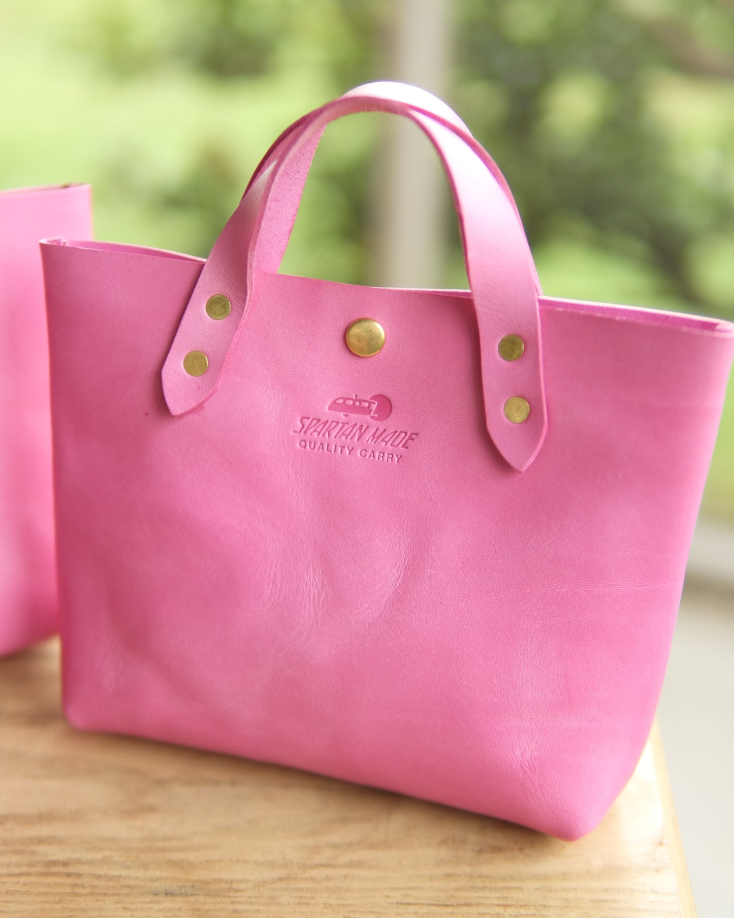 Mini Tote in Pink