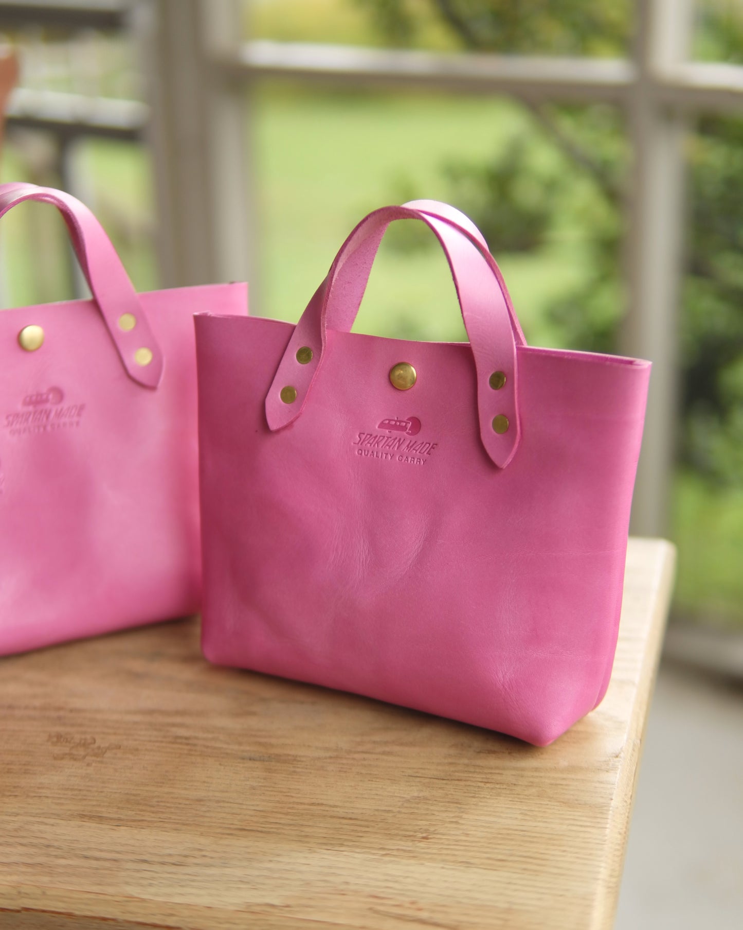 Mini Tote in Pink