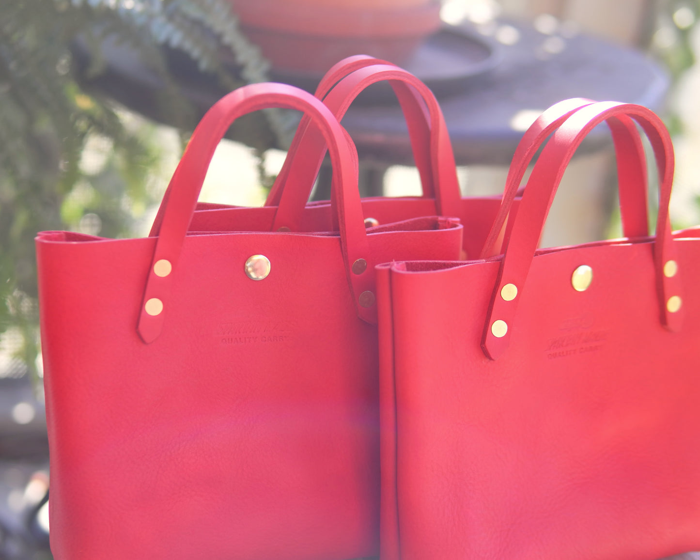 Mini Tote in Red Leather