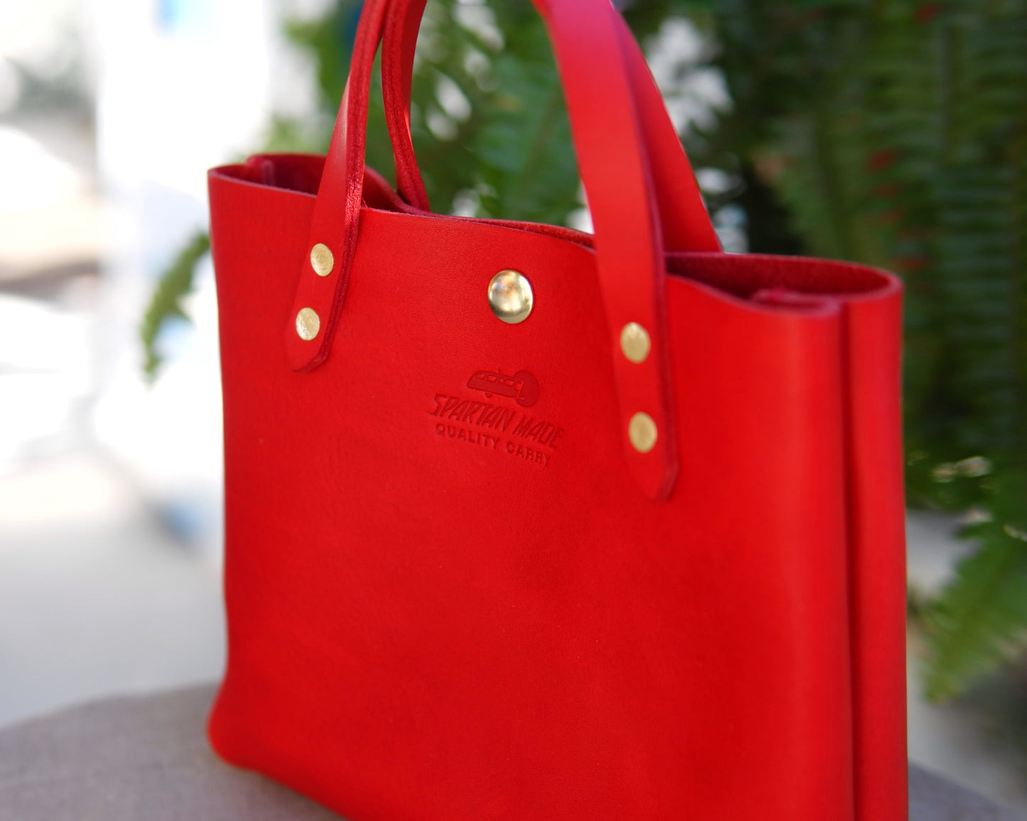 Mini Tote in Red Leather