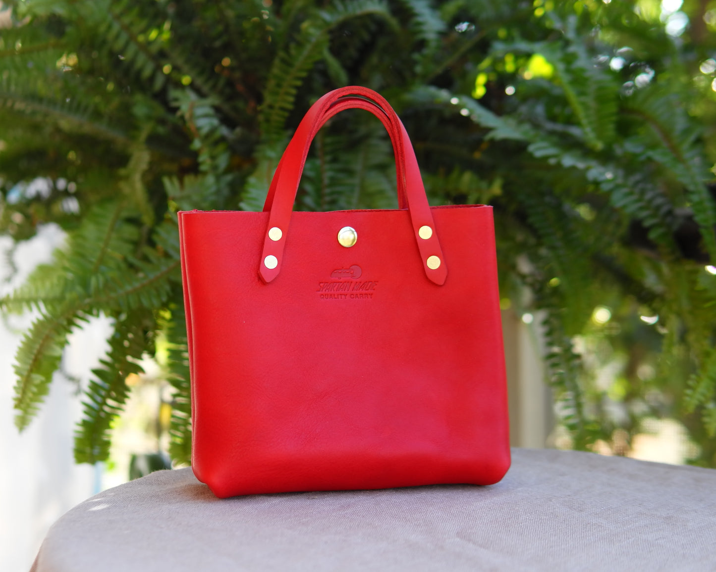 Mini Tote in Red Leather