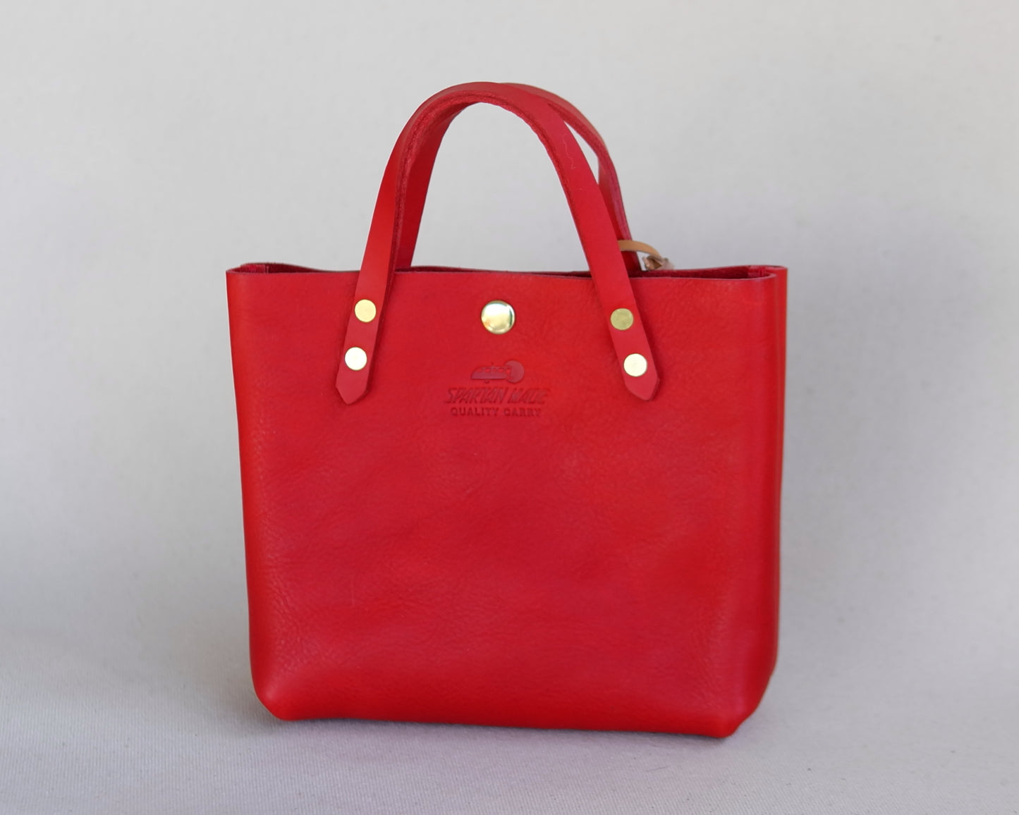 Mini Tote in Red Leather